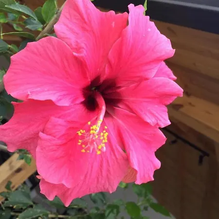 M&r Boutique In Daire